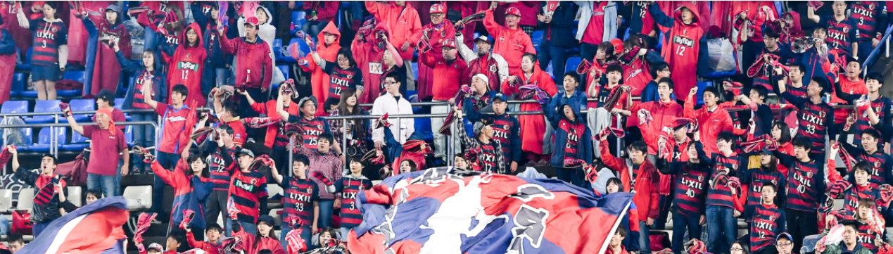 The price of passion: Football fan insights